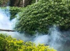 四害消殺完成后，需要做哪些鞏固工作呢？